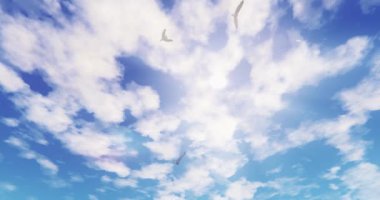 4 k martılar uçan üzerinde güneş ışığı, güneş ışınları ve bulut, cennet sahne.