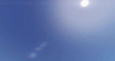 4 k martılar uçan üzerinde güneş ışığı, güneş ışınları ve güneş patlaması, cennet sahne.