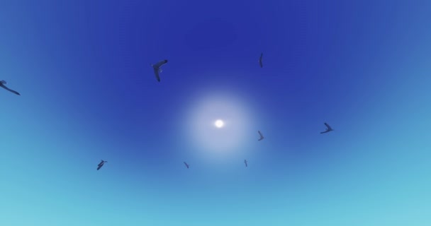 4k Seagulls Flying Over Sunlight,sun rays & solar flare,Paradise scene. — Stock Video