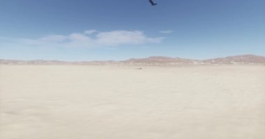 4k vahşi doğada, Eagles gölge uçan kartal yere öngörülen..