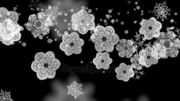 4 k Snowflake herfst, winter sneeuw achtergrond, romantische kerst deeltje achtergrond. — Stockvideo