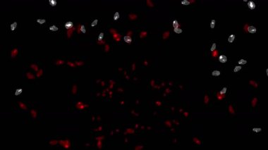 4 k taşlar elmas takı kristal değerli taşlar, zengin mineral zenginlik para.