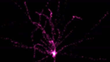 4 k mor havai fişek patlamada gökyüzü, festival kutlamak.