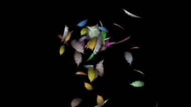 4 kuş tüyü düşen k.