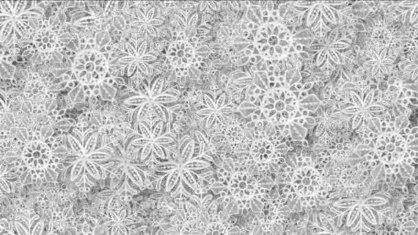 4k Snowflake snow chrismas flower design pattern background.