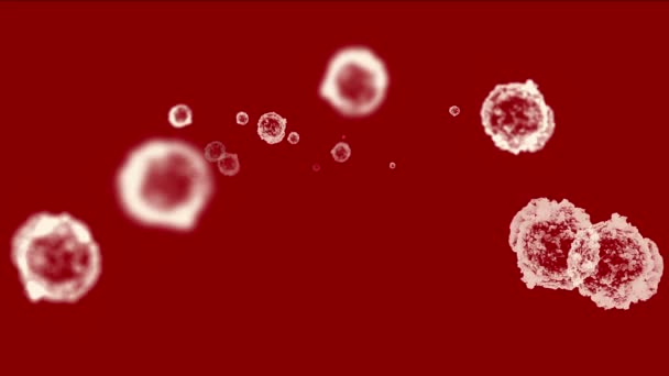 4k Abstract cellule virus polvere particelle di sfondo . — Video Stock