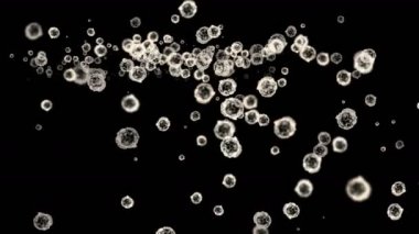 4 k soyut hücreler virüs toz parçacıkları arka plan.