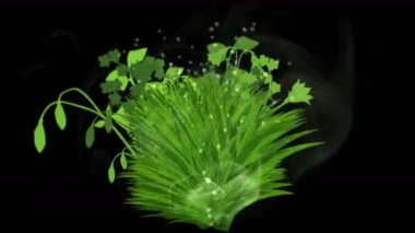 4 k yemyeşil çiçek bitkileri büyüyen otlar çalılar çalılar bitki yaprakları.