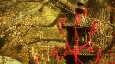 tütsü brülör ve Rüzgar, anıtlar, antikalar, kültür ginkgo ağacı.