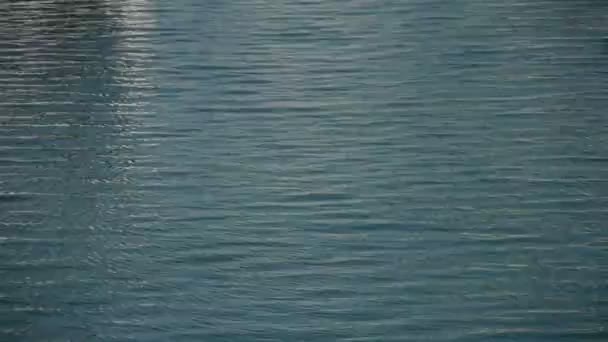 Surface de l'eau, océan, nature .