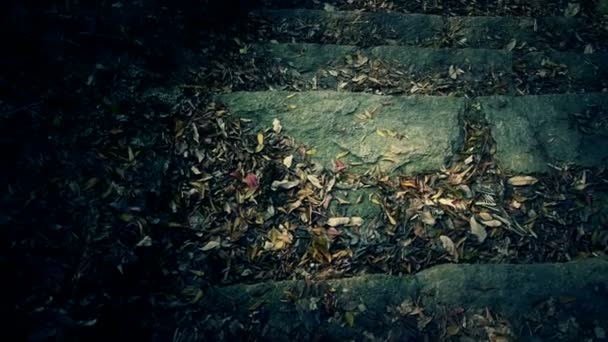 Багато листя на стежках, гарно і спустошено . — стокове відео