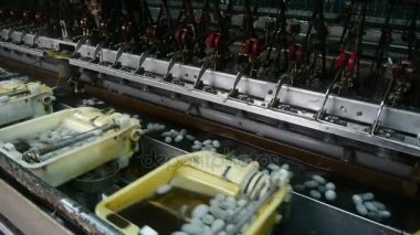 İpekböceği koza makaralama ipek factory.workshop.