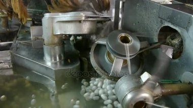 İpekböceği kozası ipek Fabrikası'nda. Atölyesinde makaralama işçi.