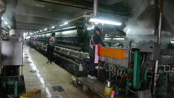 China-Sep 08.2016: Arbeiter taumeln in der Werkstatt. Seidenraupenkokon in der Seidenfabrik. — Stockvideo