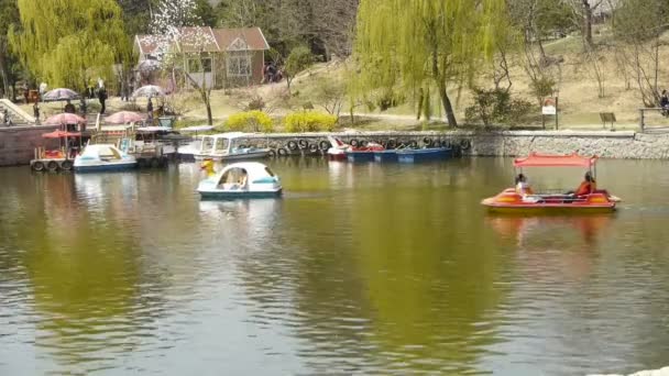 China-Apr 08,2017:Dense willows by sparkling lake,Tourists cruise ships on water. — Stock Video