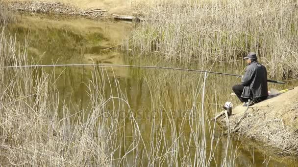 China-Abr 08,2017: Pescador pescando junto al lake.river cañas en el viento, sacudiendo wilderness.elderly, le — Vídeos de Stock