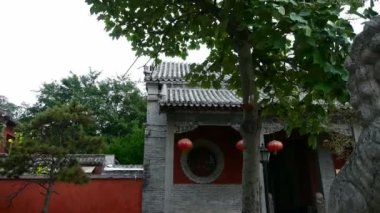 Tapınak girişinde taş aslanlar, tarihi anıtlar, sallanan ağaç gölgeleri..