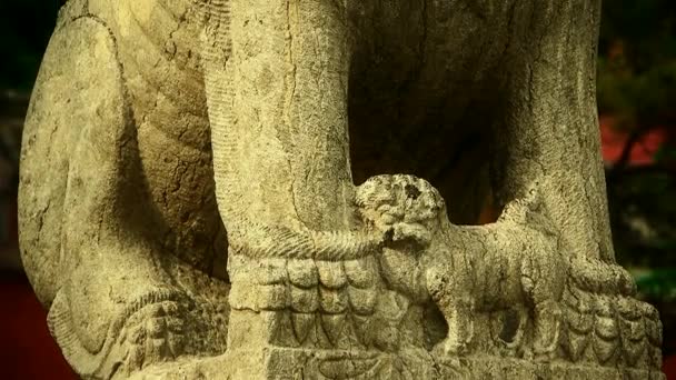 사원 돌 사자, 역사적인 기념물. — 비디오