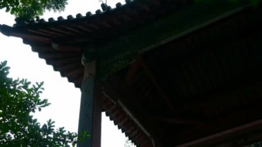 saçak siluet ve ağaç gölgeleri.