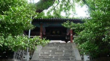 Yeşil ağaçların altında Çin antik yapı.