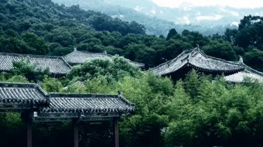 Çin antik mimari bambu ormanında.