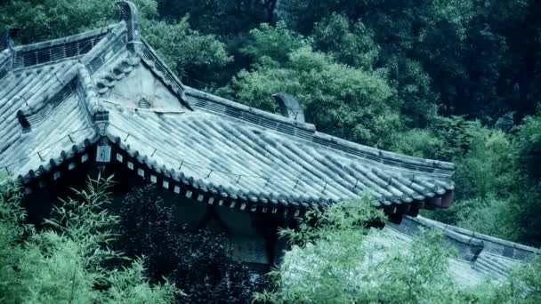 China arquitetura antiga na floresta de bambu . — Vídeo de Stock