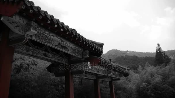 China arquitectura antigua en el bosque de bambú, vigas talladas y edificios pintados . — Vídeos de Stock