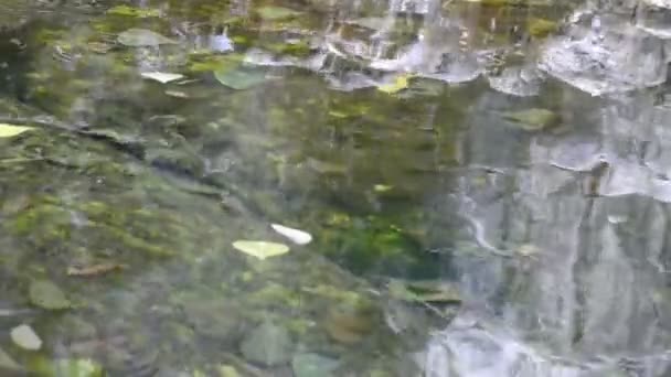 Refleksja nad woda, rzeka stream na dolinie. — Wideo stockowe