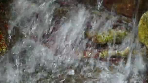 Rivière ruisseau sur vallée de montagne . — Video
