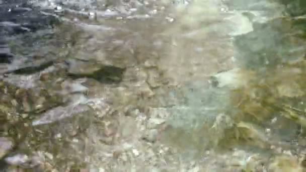 Ciottoli, pesce e ghiaia sott'acqua, riflessione sull'acqua, torrente sulla valle . — Video Stock