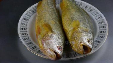 Lezzetli Croaker balığı tabakta. Balıkçılık..