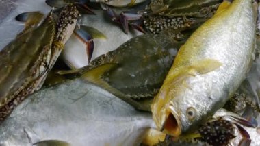 Lezzetli Croaker Pomfret balık ve yengeçleri..