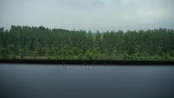 Aldeas llanuras árboles cultivos tierras agrícolas en el campo rural.Aceleración de los viajes en tren, — Vídeo de stock