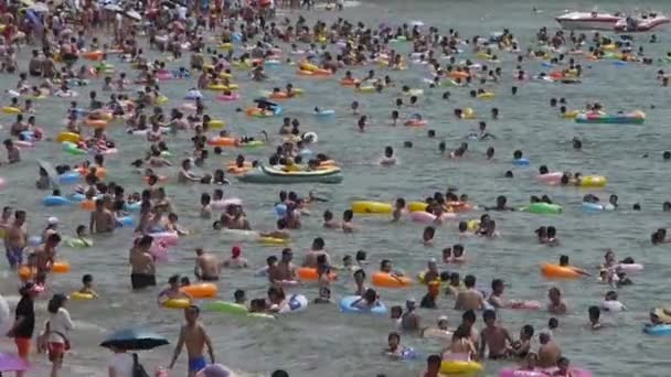 China-Aug 08,2016:Many people swim in sea.swimming pool. — Stock Video