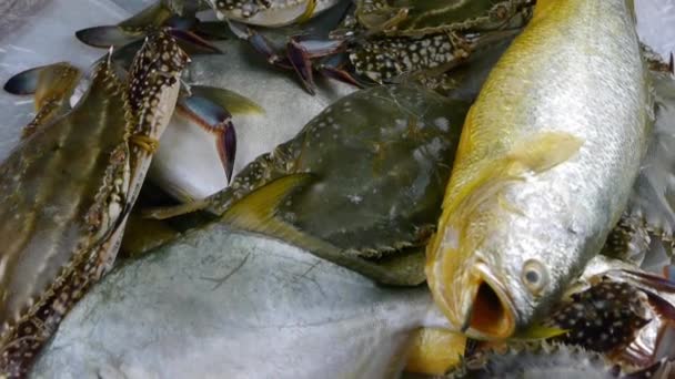 Heerlijke Croaker Pomfret vis & krabben binnen wijzerplaat.. — Stockvideo