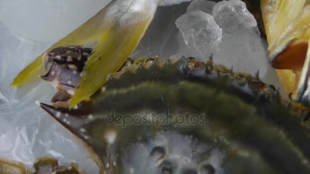 Délicieux Croaker Pomfret poisson & crabe, dans la platine de cadran.Pêche glace congelée.