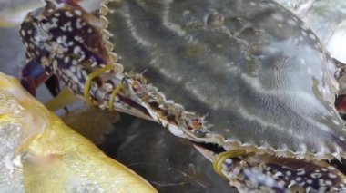 Lezzetli yengeç & Croaker Pomfret balığı, çevirmeli levha içinde. Buz gibi balıkçılar.