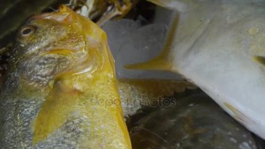 Lezzetli Croaker Pomfret balığı ve yengeç, çevirme plakası içinde. Buz gibi balıkçılık alanları.
