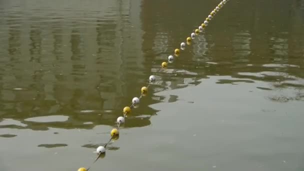 Floats on lake.Water surface.sea ocean. — Stock Video