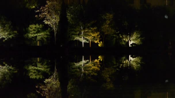 Erdőtükröződés a tó nyugodt vizében.Mint például a tükör sötét este. — Stock videók