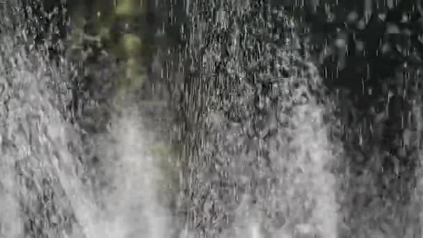 Gras water spray in het bos, zonneschijn regen op gazon achtergrond, druppels achtergrond. — Stockvideo