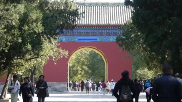 Cina-Set 08,2016: Gli asiatici camminano nel parco dei cipressi, Cina Pechino porta rossa antico edificio — Video Stock