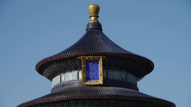 China-Sep 08,2016:Temple of Heaven in Beijing.China's royal ancient architecture. — Stock Video