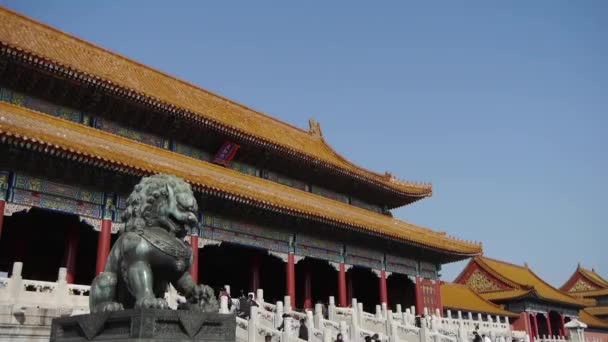 Kina-Sep 08, 2016:bronze lion framför förbjudna staden, Kinas royal antik arkitektur. — Stockvideo