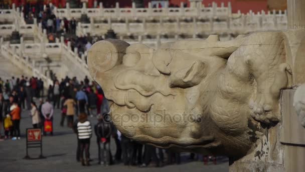 Chiny-wrzesień 08, 2016:dragon & chmura rzeźba totem w Zakazane Miasto, royal architektura Chin. — Wideo stockowe