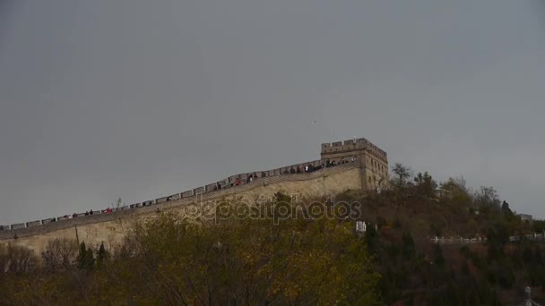 Visitante escalada Grande Muralha no pico da montanha, China arquitetura antiga, fortalezas — Vídeo de Stock