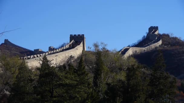 Visitante escalada Gran Muralla en la cima de la montaña, China arquitectura antigua, fortres — Vídeo de stock