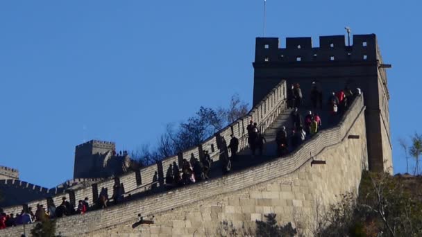 Visitante escalada Grande Muralha no pico da montanha, China arquitetura antiga, fortalezas — Vídeo de Stock