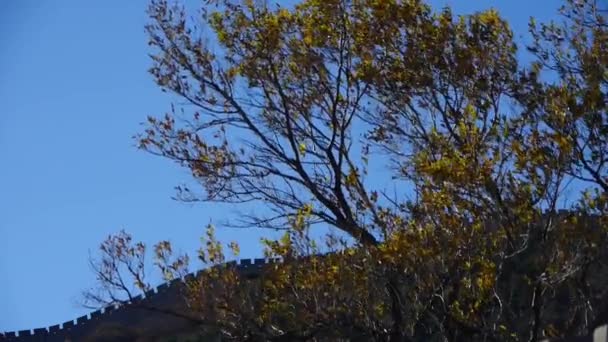 Grote muur in de herfst, China oude verdediging techniek — Stockvideo