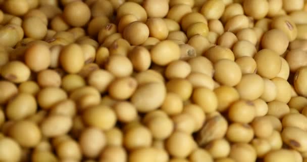 4 k 用手摘大豆豆，食品原料，美味的菜肴黄豆的种子 — 图库视频影像